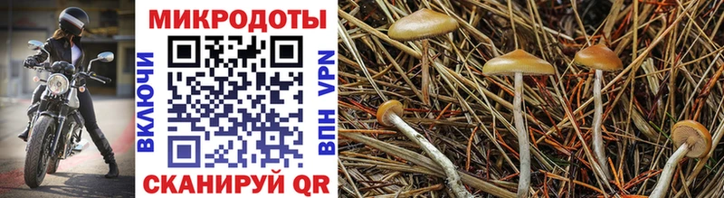 Галлюциногенные грибы мицелий  Мирный 